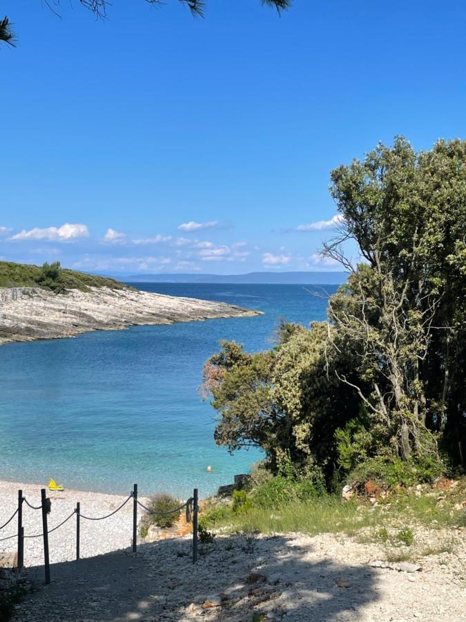 Moderne Istrische Steinvilla - 4 Sterne Mit Privatem, Beheizbaren Pool & Meerblick Kavran Exterior foto